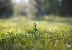 Fujfilm-X-T4-Samples-19
