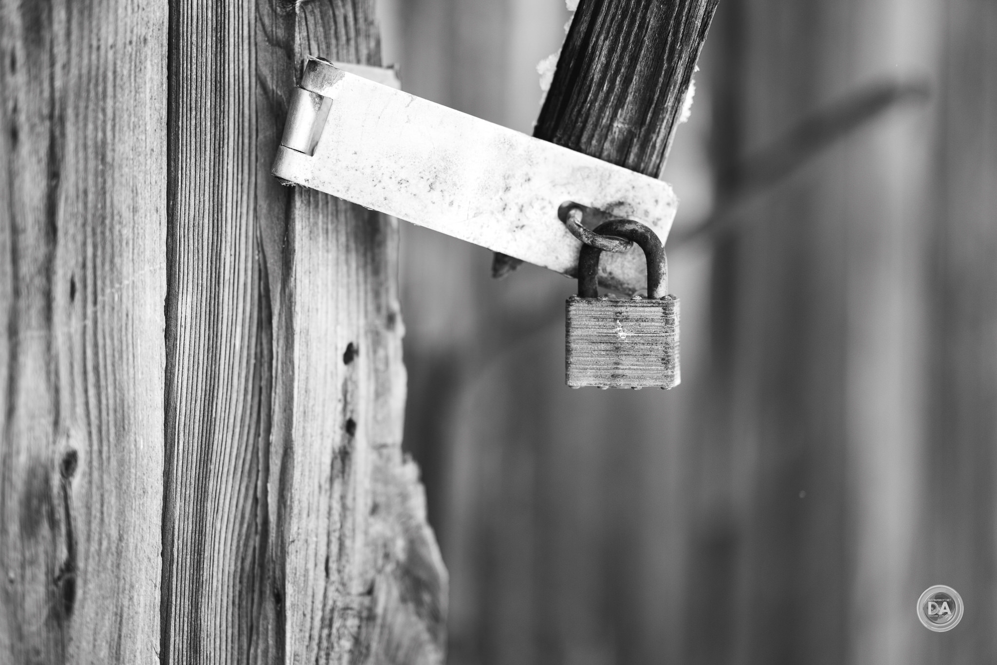X-T5-Samples-20
