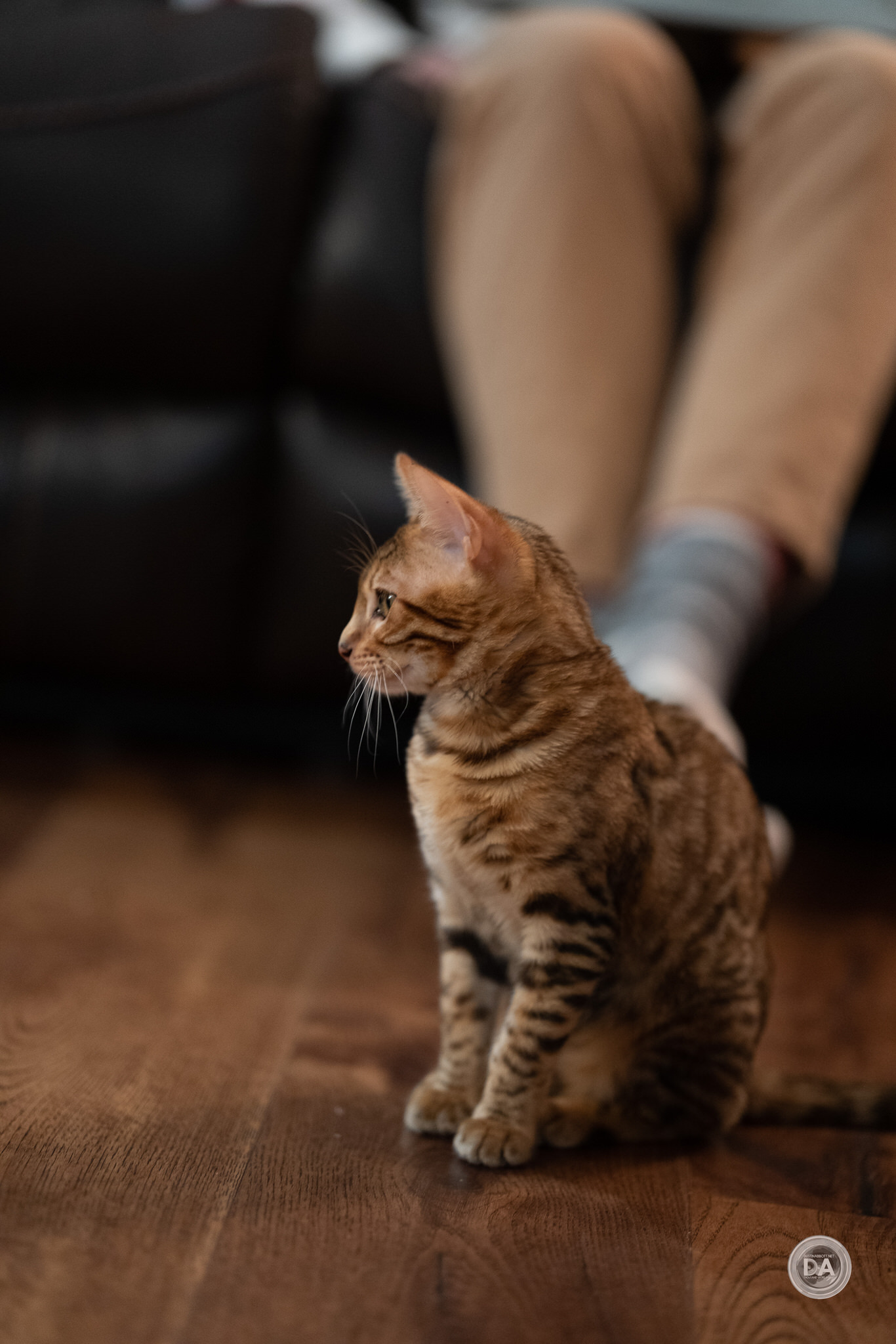 X-T5-Samples-60