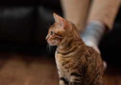 X-T5-Samples-60