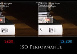 31-ISO-12800