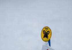 XF150-600-Samples-13