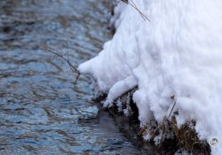 XF150-600-Samples-24