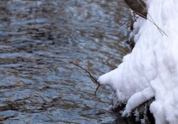 XF150-600-Samples-25