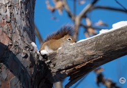 XF150-600-Samples-26