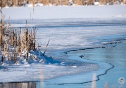 XF150-600-Samples-30