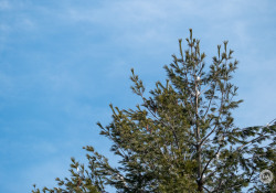 XF150-600-Samples-4