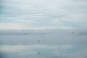 18-55-Landscapes-8