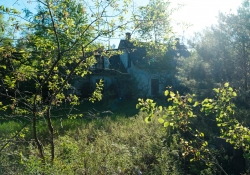 More-18-55-Samples-3