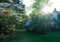 More-18-55-Samples-4