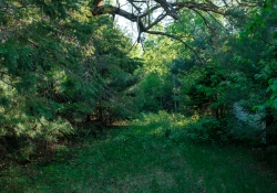 More-18-55-Samples-5