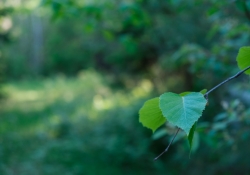 More-18-55-Samples-6