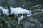 TC Shots-2