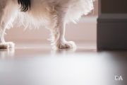 Bella-7