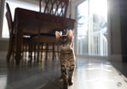 17-Unfocused-1
