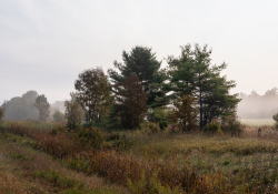 29-Landscape-1