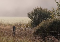 29-Landscape-3