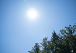 38-Flare-1