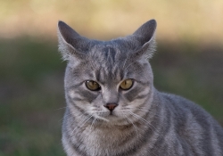 27 Real World Sharpness-2