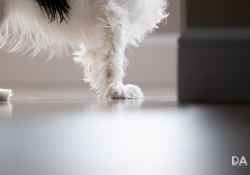 27 Real World Sharpness-3