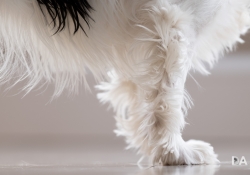 27 Real World Sharpness-4