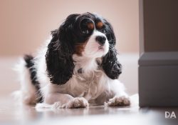 27 Real World Sharpness-5