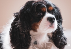 27 Real World Sharpness-6