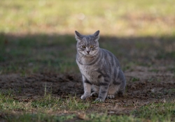 27 Real World Sharpness