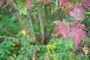 XF23-Samples-10