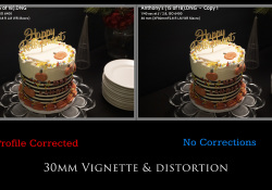 18-Vignette-and-Distortion-Anthonys-1