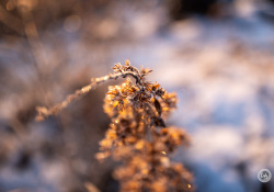 27-Not-Much-Blur