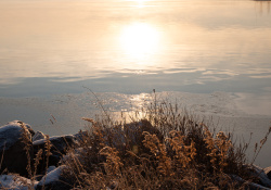 34-Flare-Resistance-2