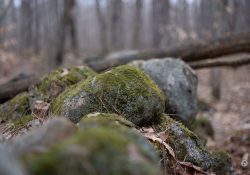 XF-33mm-Samples-49
