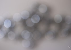 XF-33mm-Samples-52