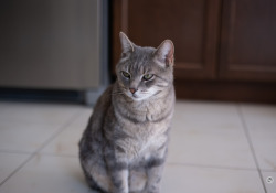 16-Good-Focus-1
