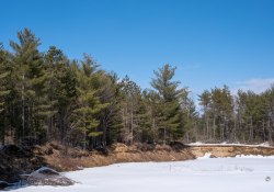 32-Landscape-1 32-Landscape-1