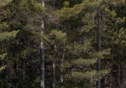 32-Landscape-3 32-Landscape-3