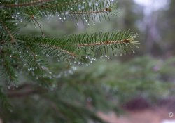 38-F28-Bokeh-1