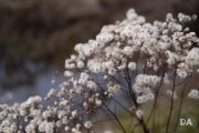 New Fuji 35 Samples-18