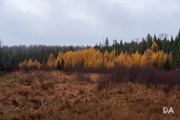 New Fuji 35 Samples-2