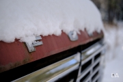 Winter Fun-10