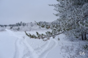 Winter Fun-15