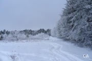 Winter Fun-16