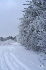 Winter Fun-17