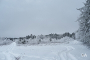 Winter Fun-18