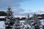 Winter Fun-3