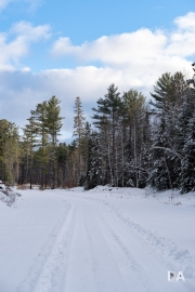 Winter Fun-4