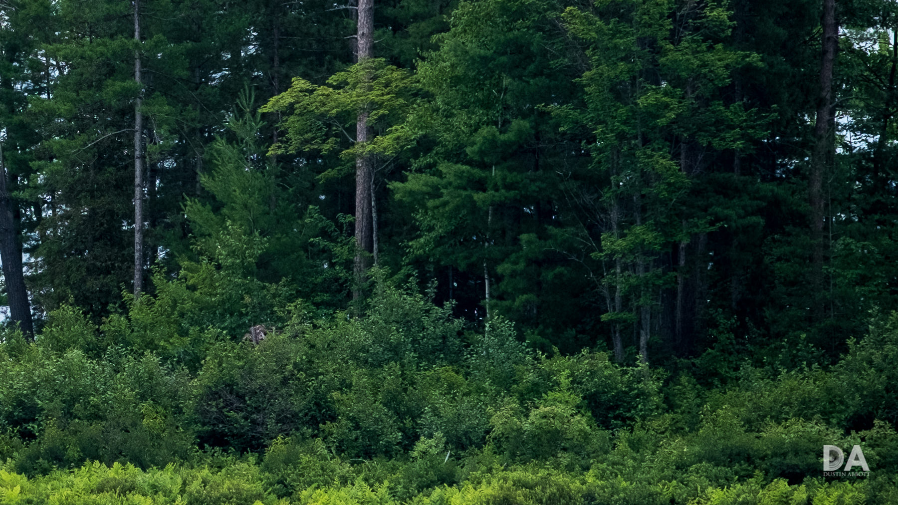 26-Landscape-140mm-2