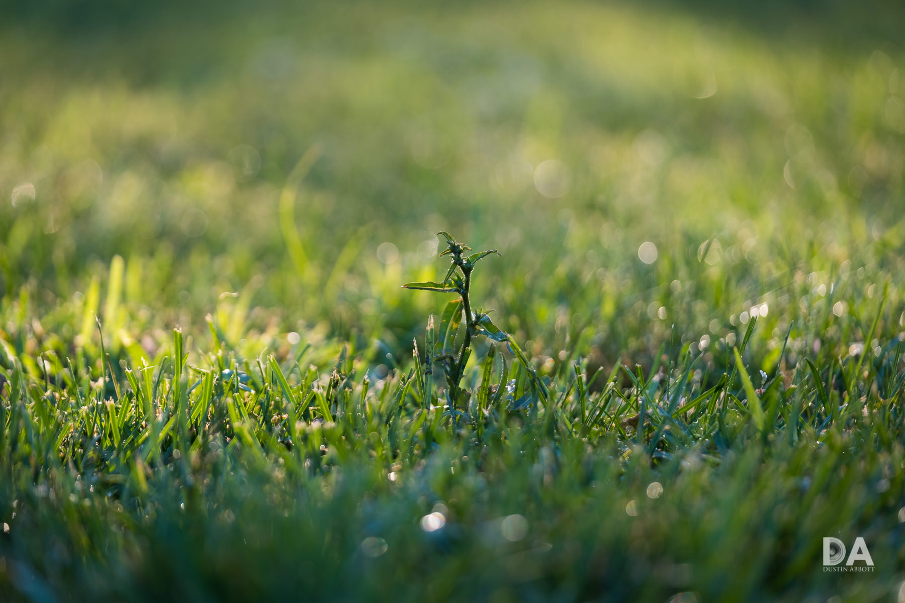 28-Bokeh