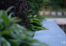 28-Bokeh-3 28-Bokeh-3